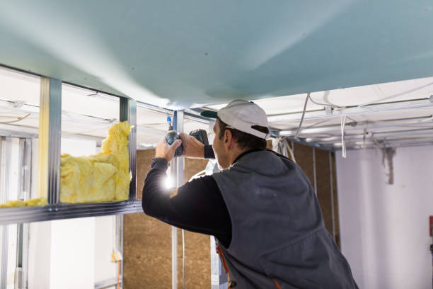 Best Attic Insulation Installation  in Fuquay Varina, NC